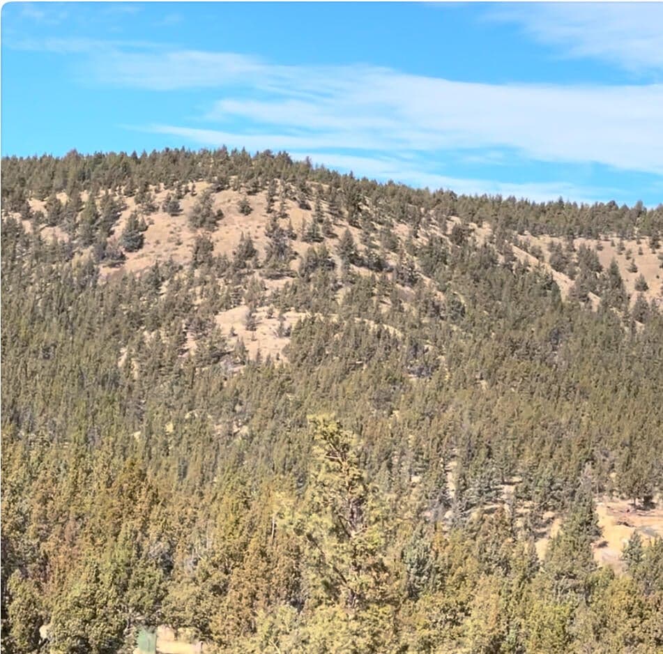 Looking across valley at the property