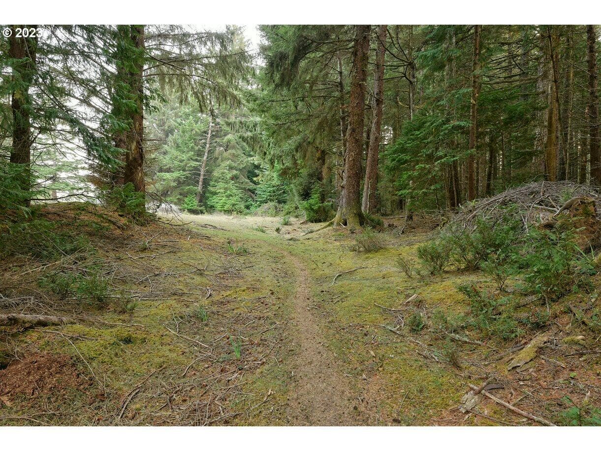 Photo of 47458 Hwy 101 3 of 10