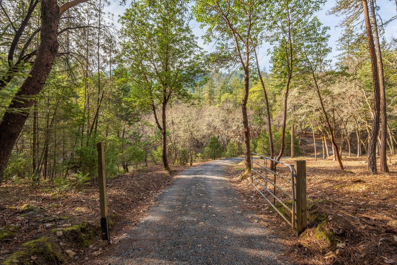Photo of 1224 Jones Creek 2 of 15