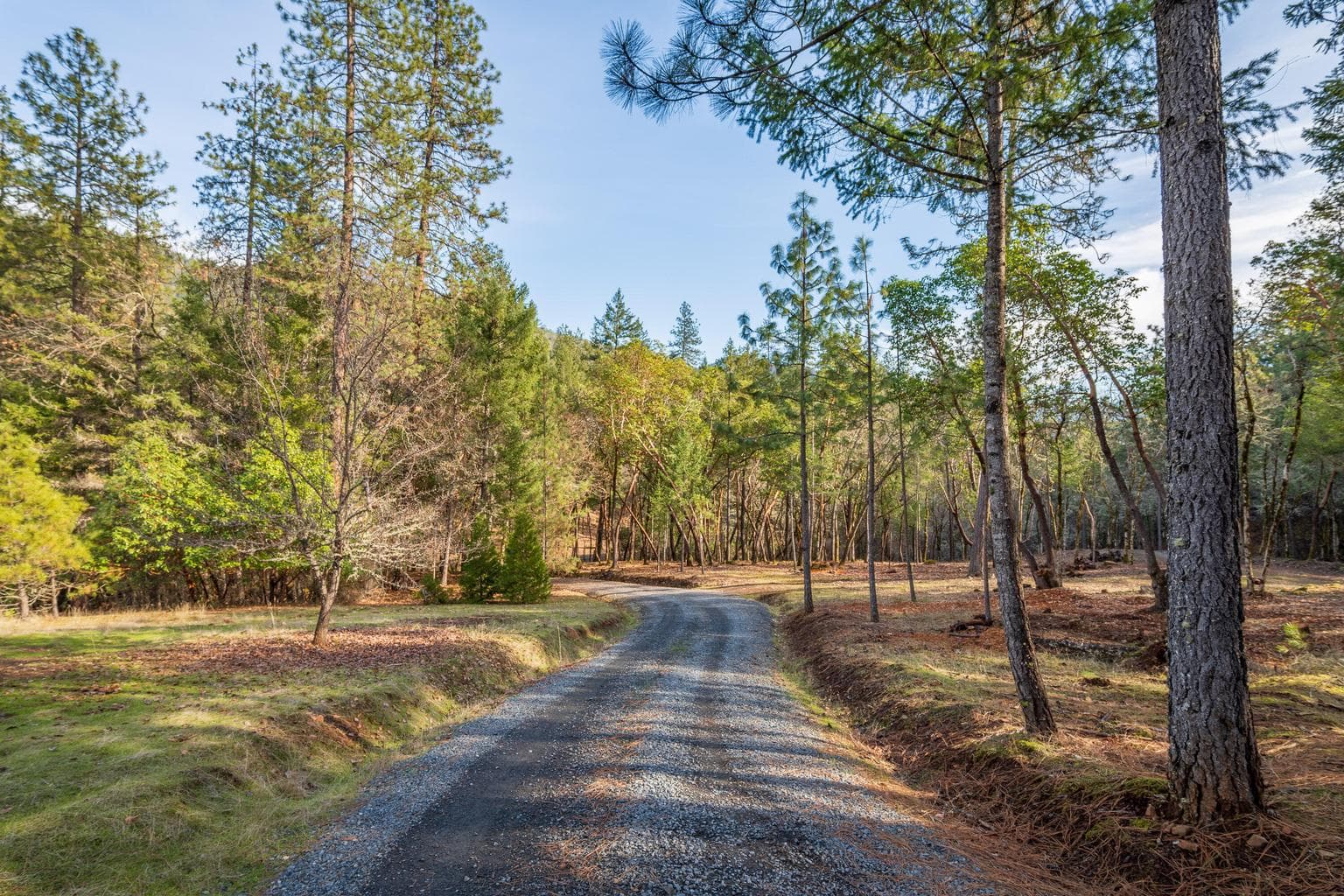 Photo of 1224 Jones Creek 3 of 15