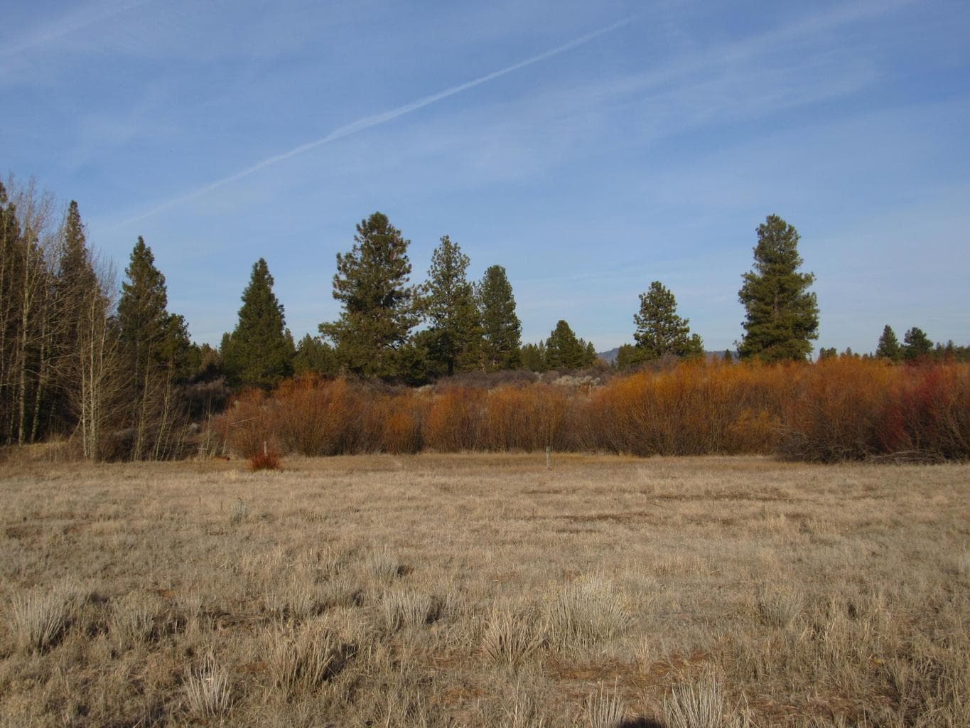 Looking at the Oregon Shores II Rec. Club land-great for walking