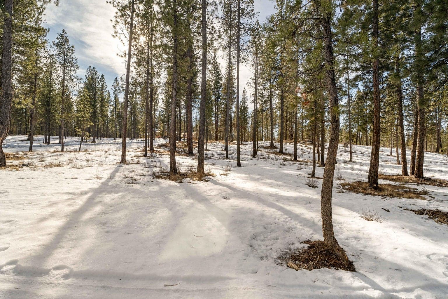 Photo of 56272 Mirror Rock 4 of 24