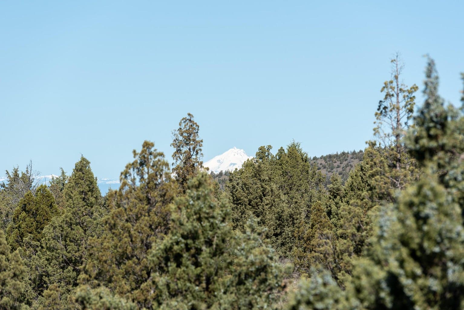Photo of 1832 SE Blue Skies Lane 38 of 44