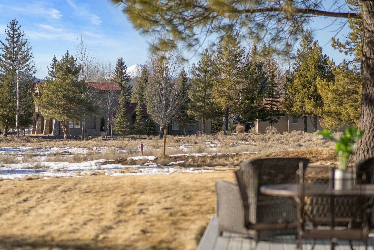 Expansive grass off back deck and views of Mt. Bachelor.