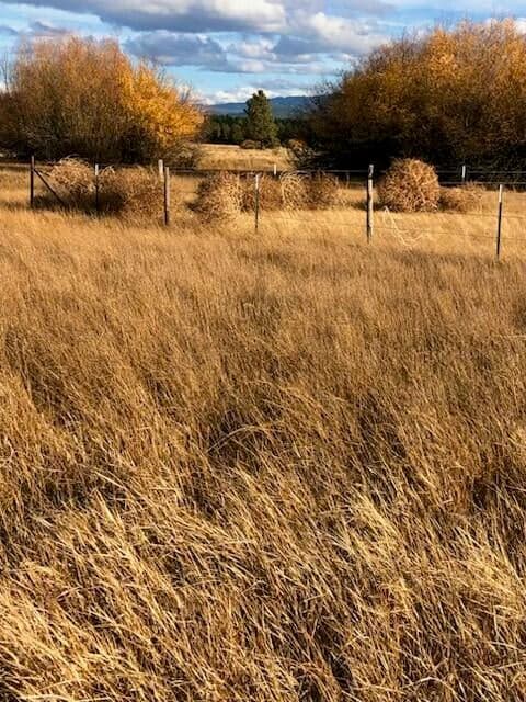 Photo of 57275 Meadow House Loop 41 of 42