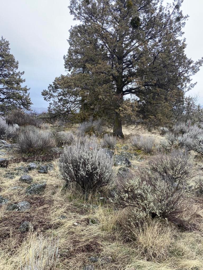 Photo of 00000 Sunset Ridge 2 of 17