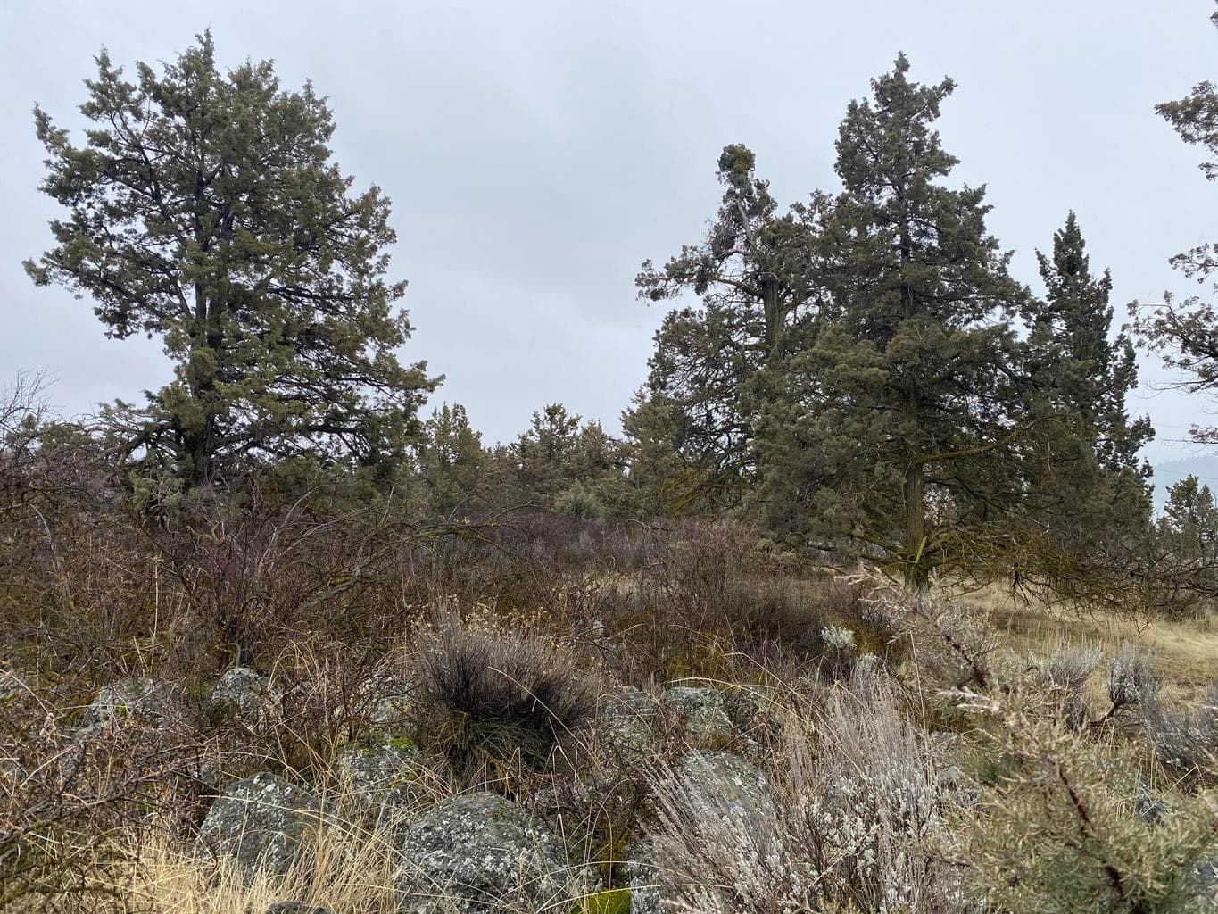 Photo of 00000 Sunset Ridge 3 of 17