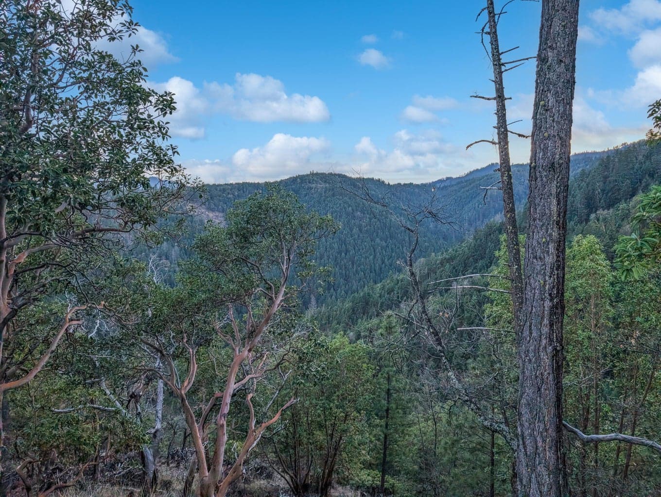 Photo of Coleman Cr 3 of 13
