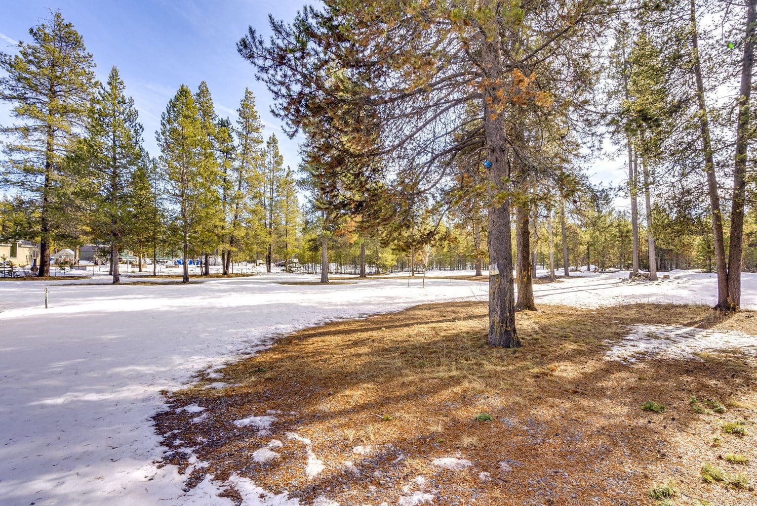 Photo of 16203 Hawks Lair Road 45 of 54