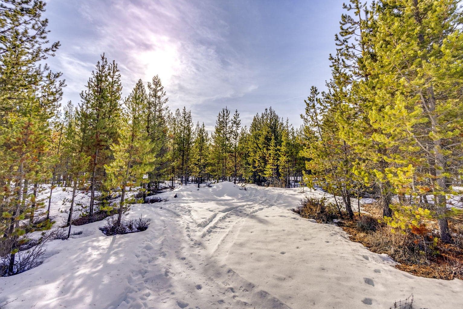 Photo of 16203 Hawks Lair Road 49 of 54