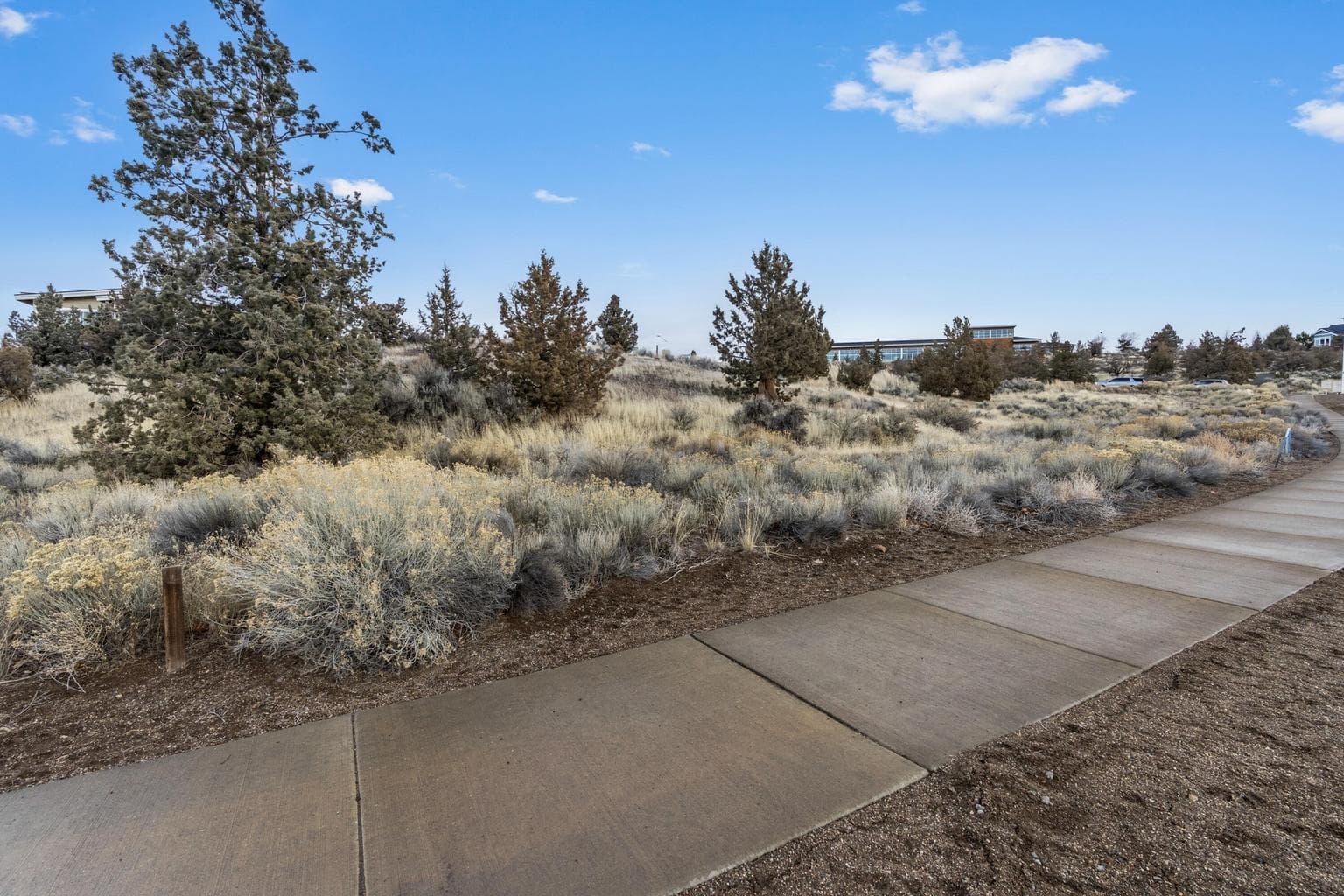 Photo of Fescue 5 of 17