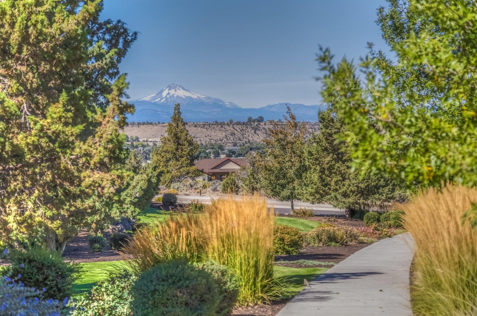 Neighborhood Park