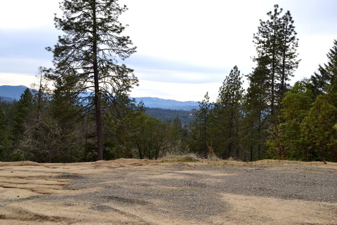 Photo of 0 Sylvan 1 of 9