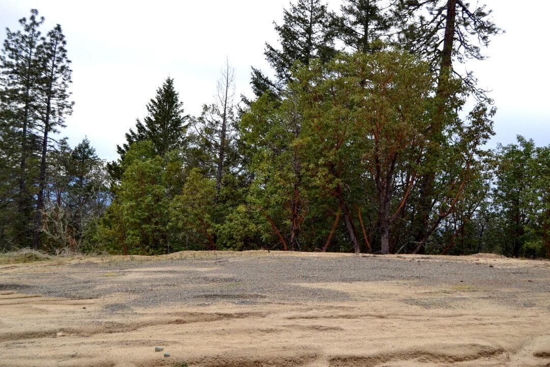 Photo of 0 Sylvan 2 of 9