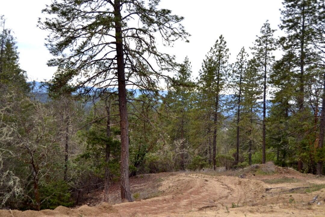 Photo of 0 Sylvan 3 of 9