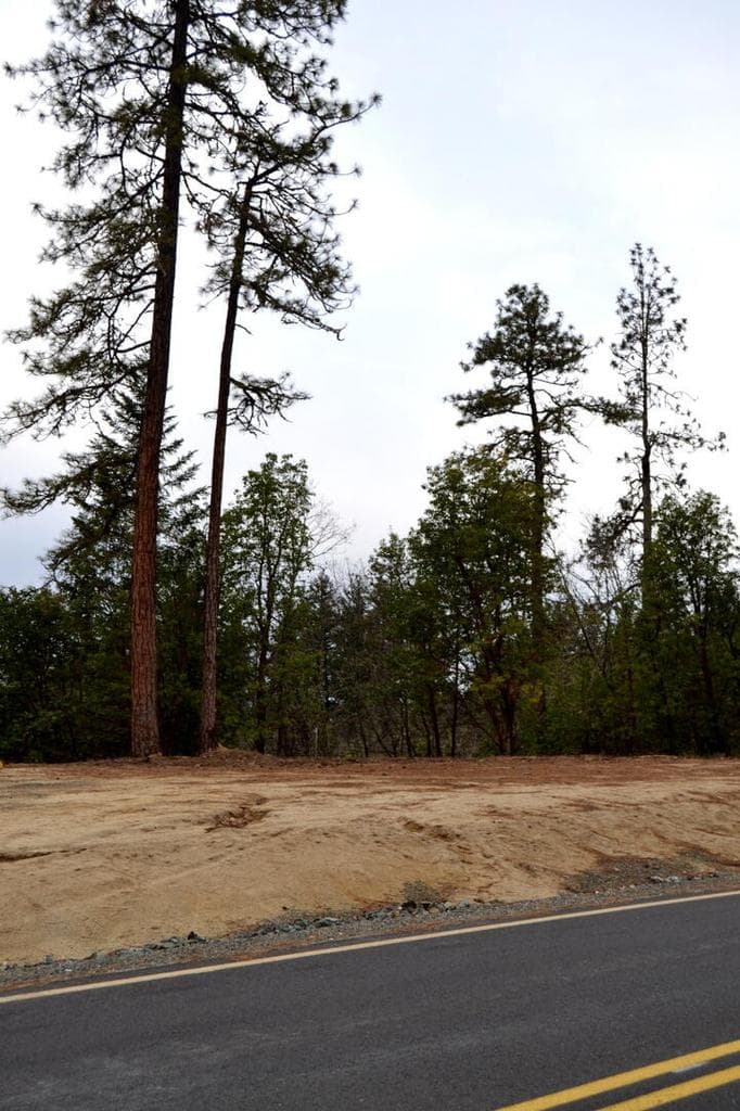 Photo of 0 Sylvan 5 of 9