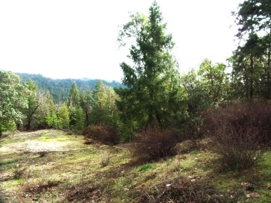 18515 Ditch Creek