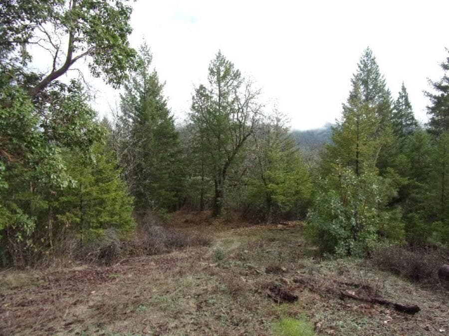 one upper cleared homesite area
