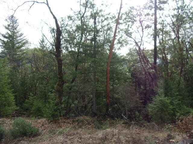 some sections wooded