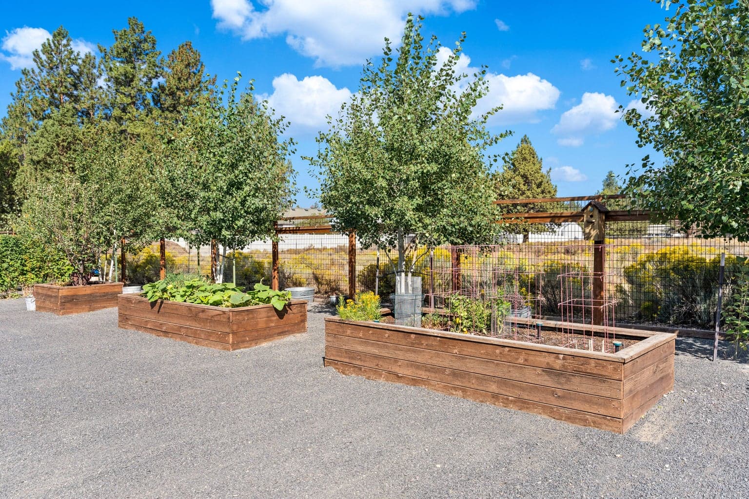 Raised gardens