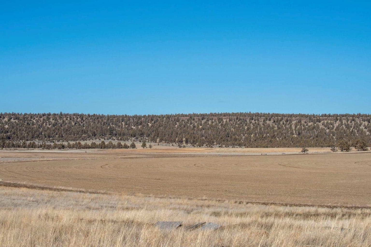 Photo of McKenzie Canyon Road 9 of 12