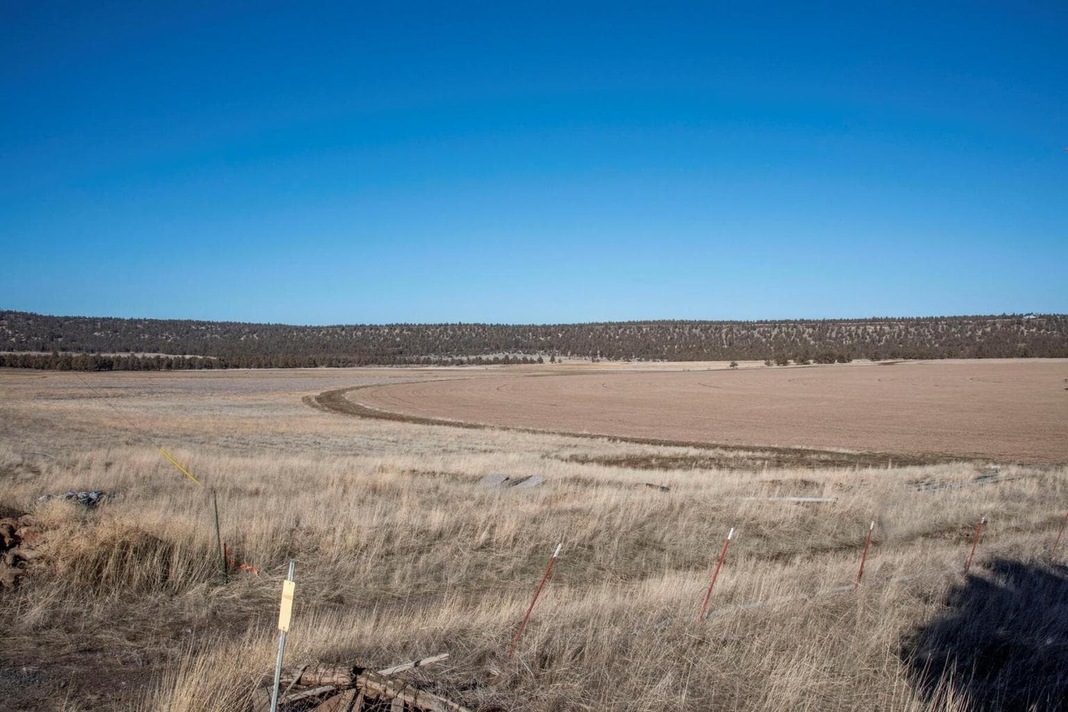 Photo of McKenzie Canyon Road 12 of 12