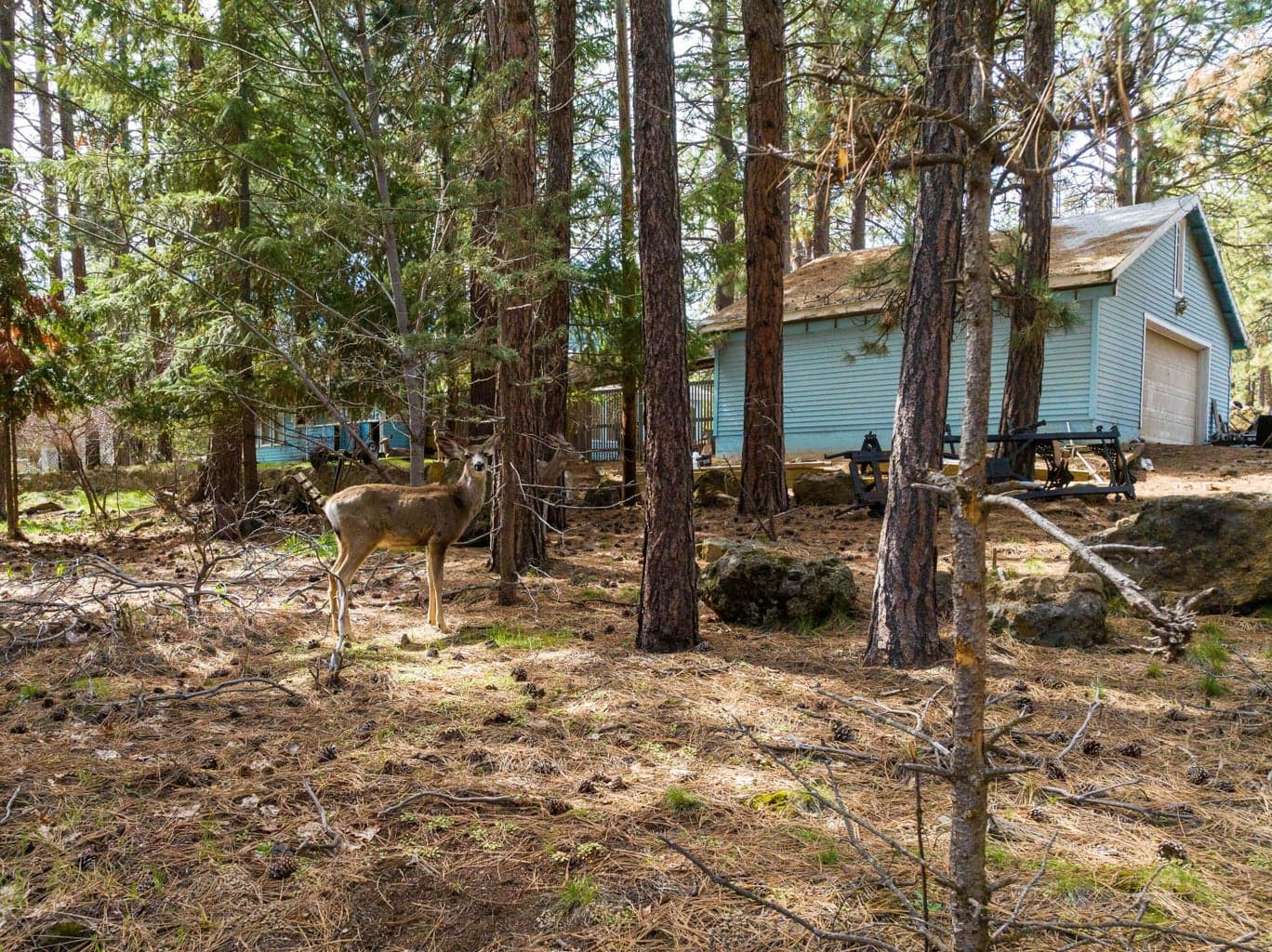 Photo of 19077 Choctaw 5 of 14