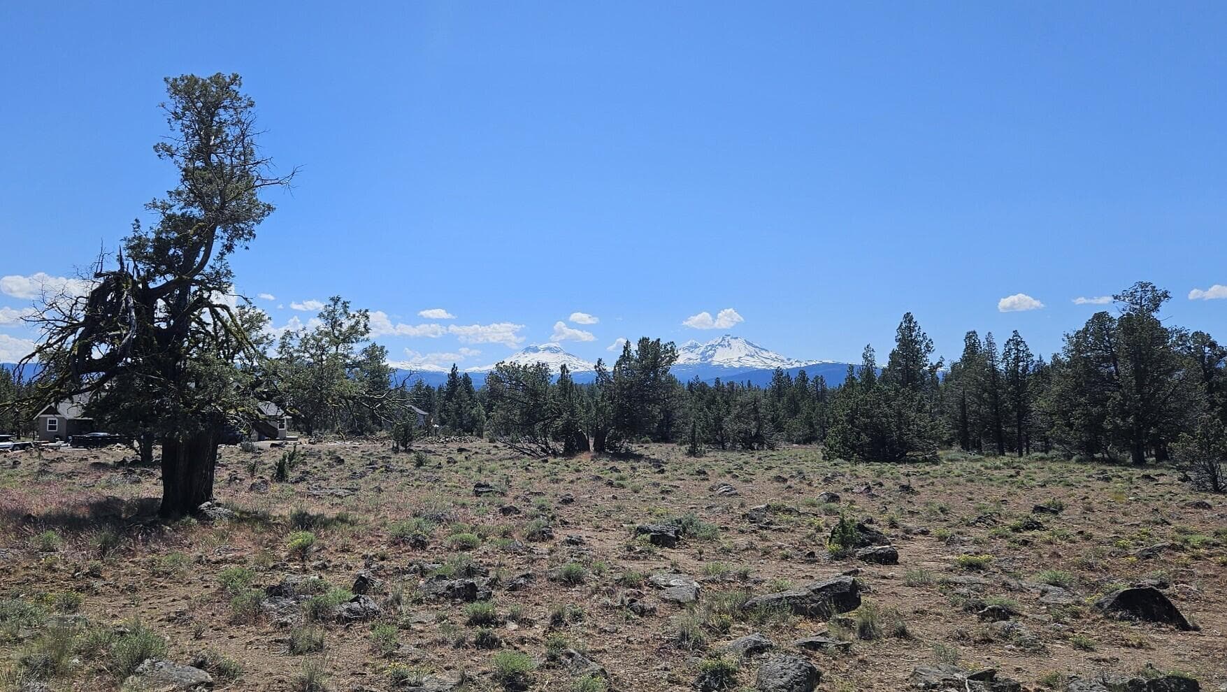 Photo of 69580 Pine Ridge 3 of 18