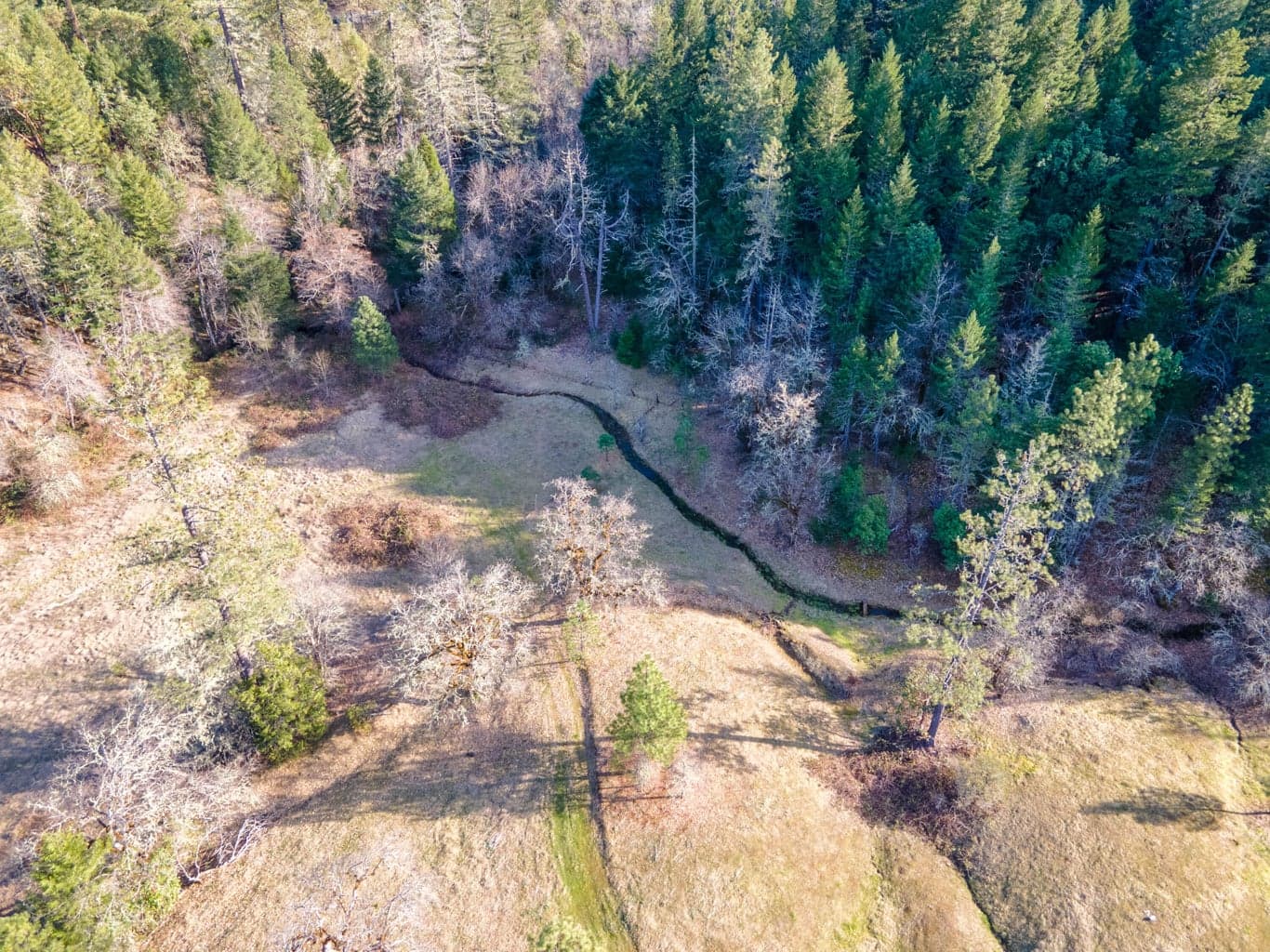 Photo of 647 Gold Canyon 3 of 18