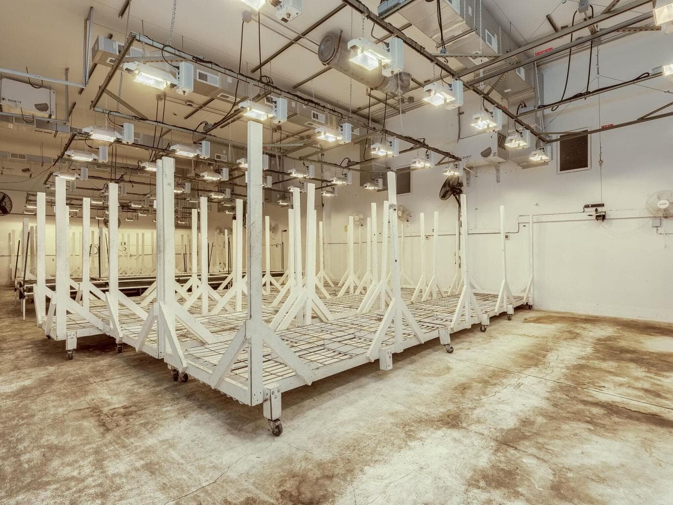 Photo of Market 4 of 56