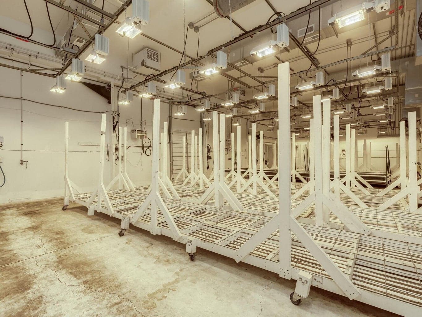Photo of Market 5 of 56