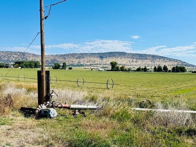 Photo of Reeder Road 3 of 20