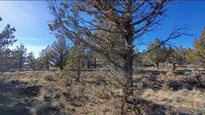 Photo of 19725 Upper Ridge 3 of 11