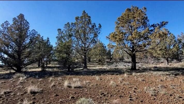 Photo of 19725 Upper Ridge 4 of 11