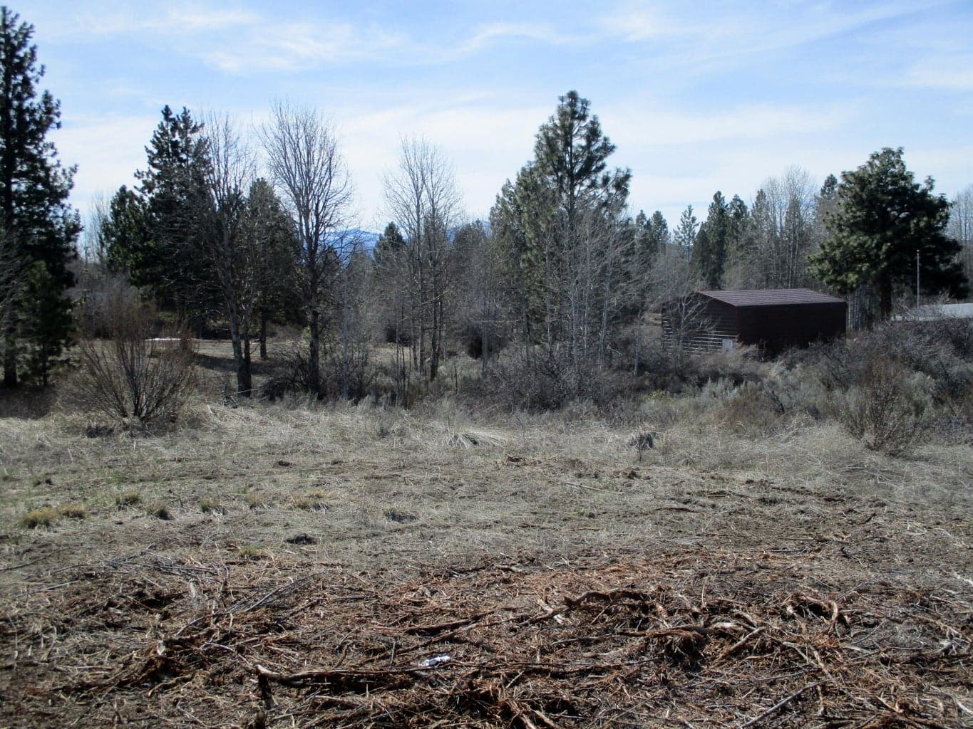 Photo of Sportsman 2 of 10