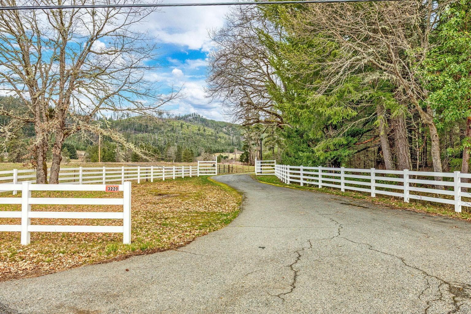 Photo of 3220 Deer Creek 4 of 98