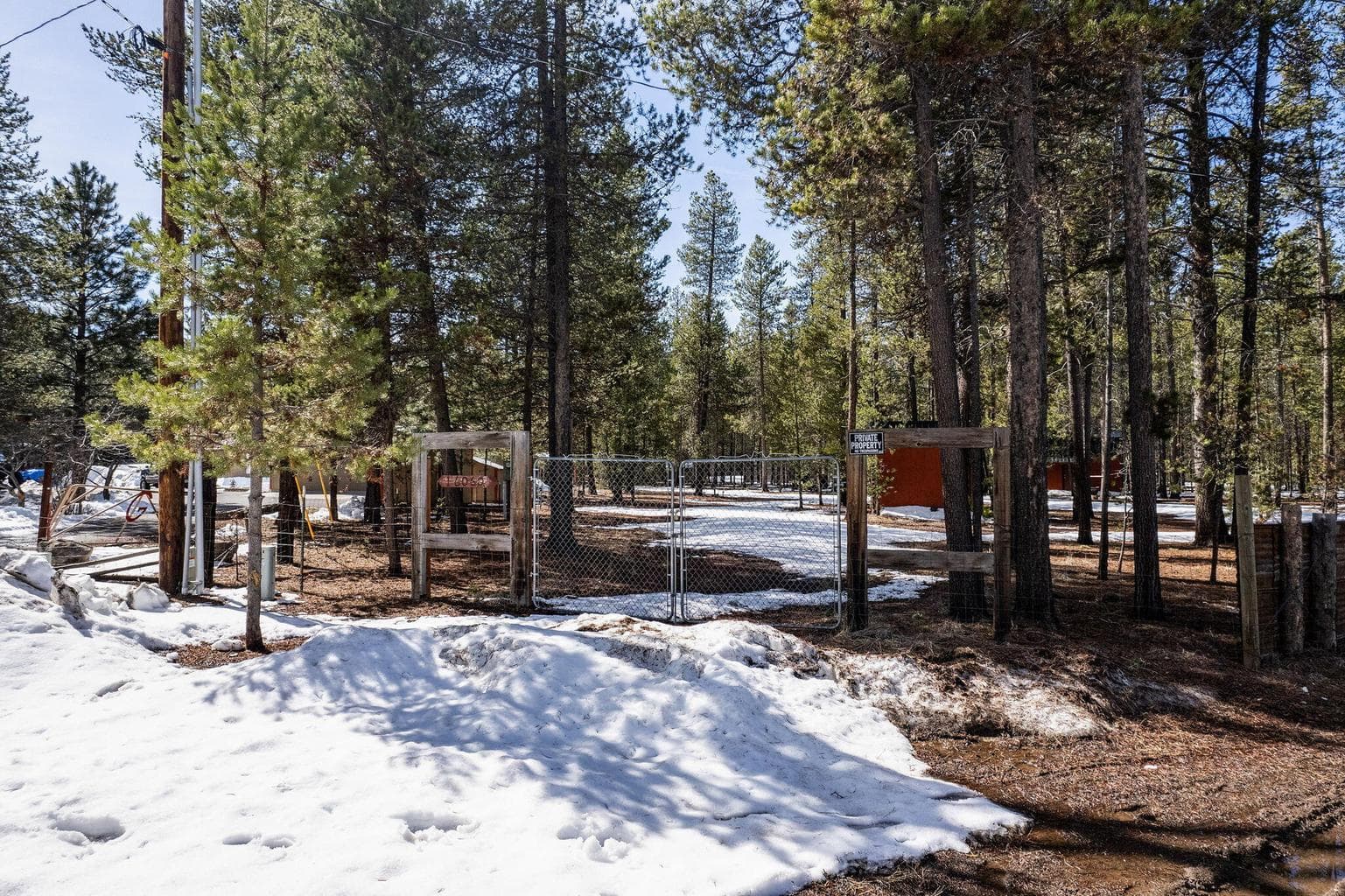 Plenty of room for outdoor activities or future improvements, framed by towering trees and filtered sunlight.