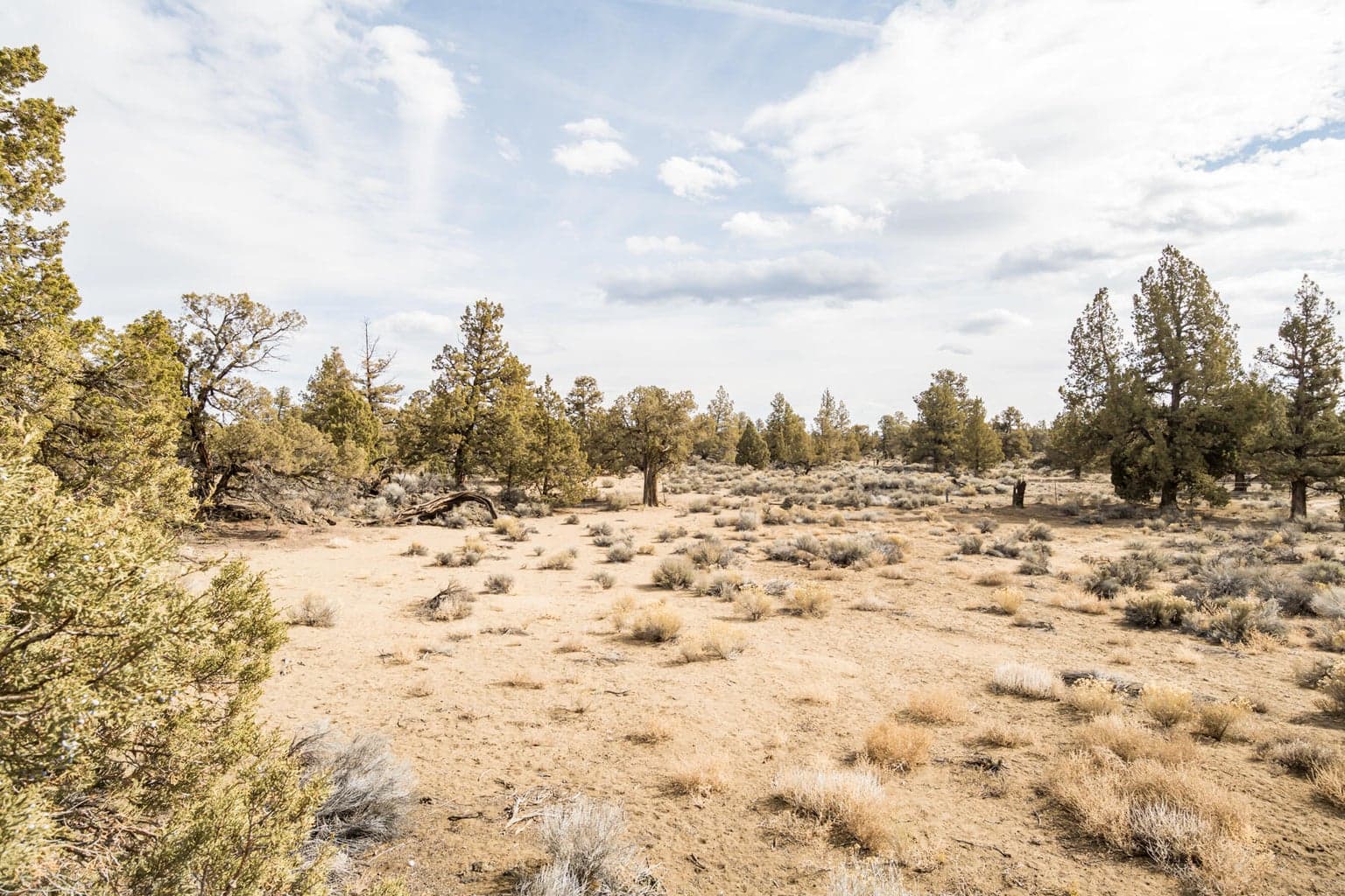 65660 Pronghorn Estates