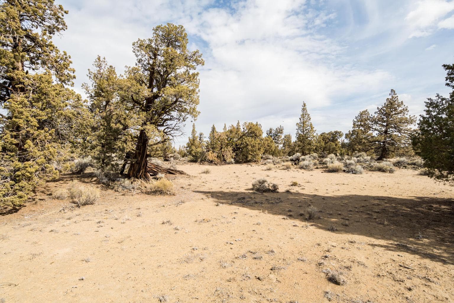 Photo of 65660 Pronghorn Estates 3 of 21
