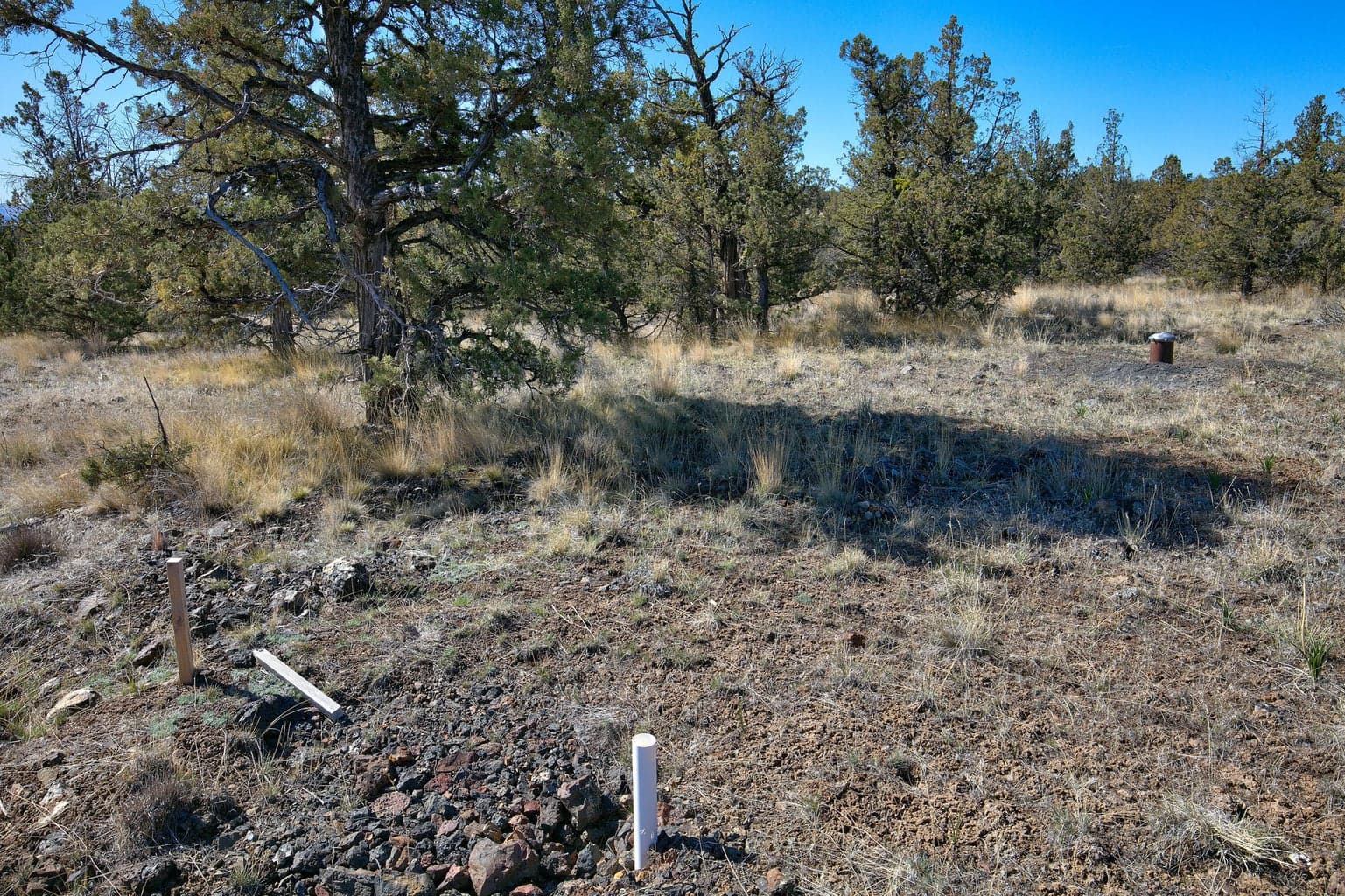 Photo of 1534 SE Texas Circle 12 of 25