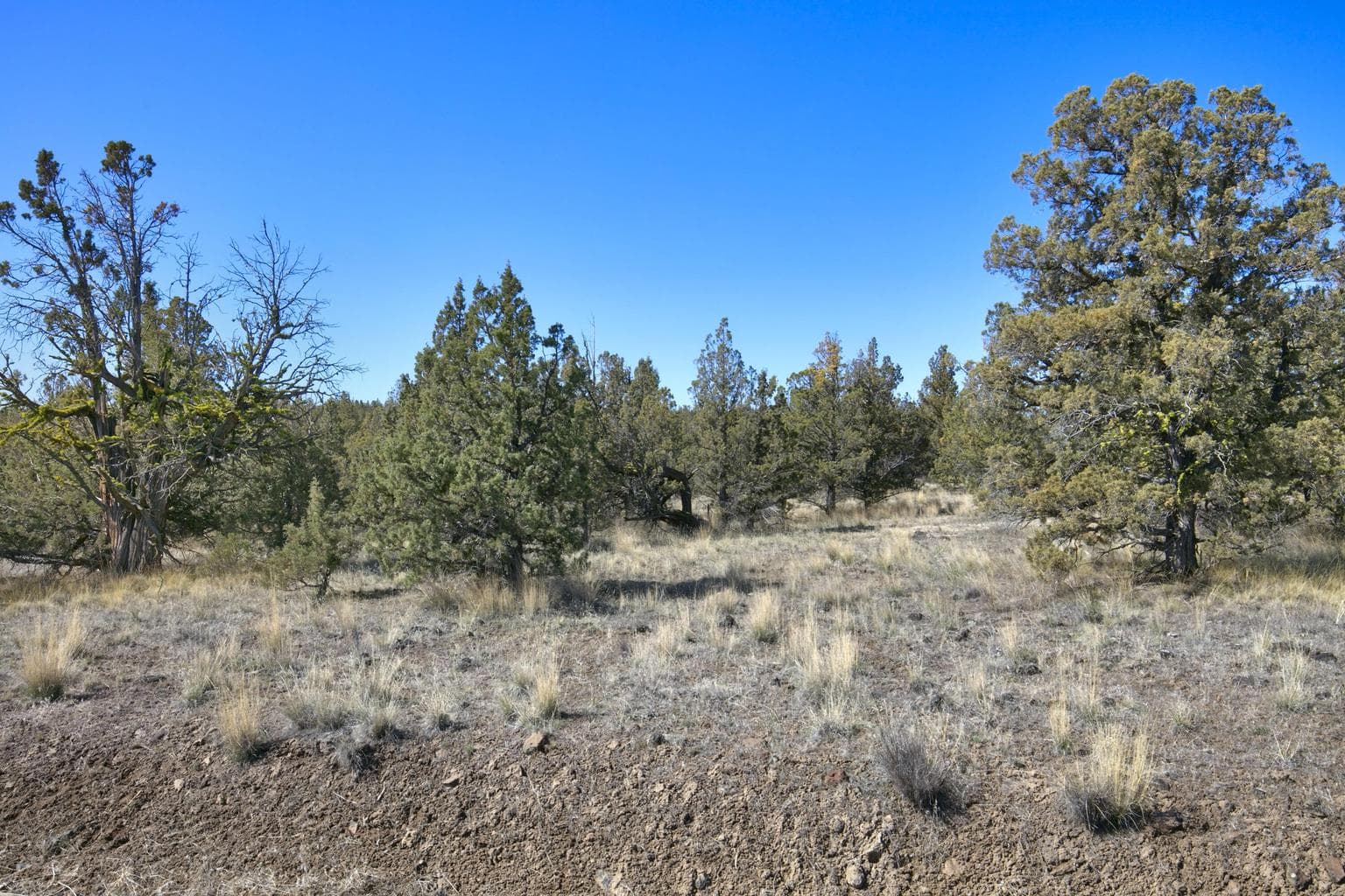 Photo of 1534 SE Texas Circle 13 of 25