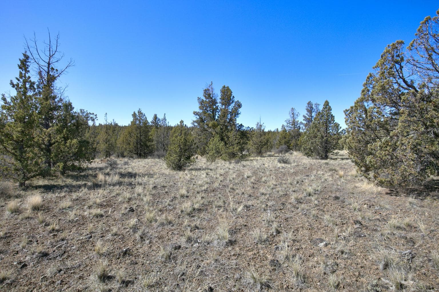 Photo of 1534 SE Texas Circle 14 of 25