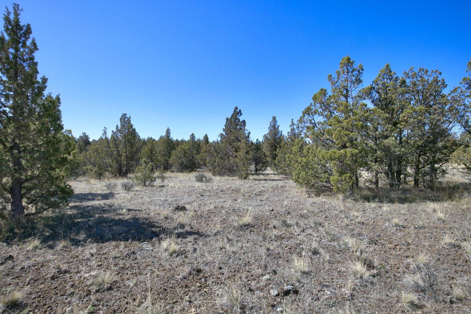 Photo of 1534 SE Texas Circle 19 of 25