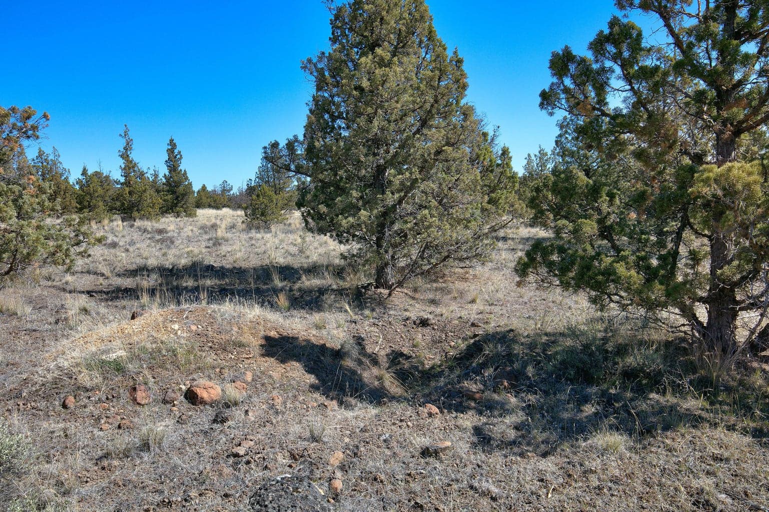Photo of 1534 SE Texas Circle 20 of 25