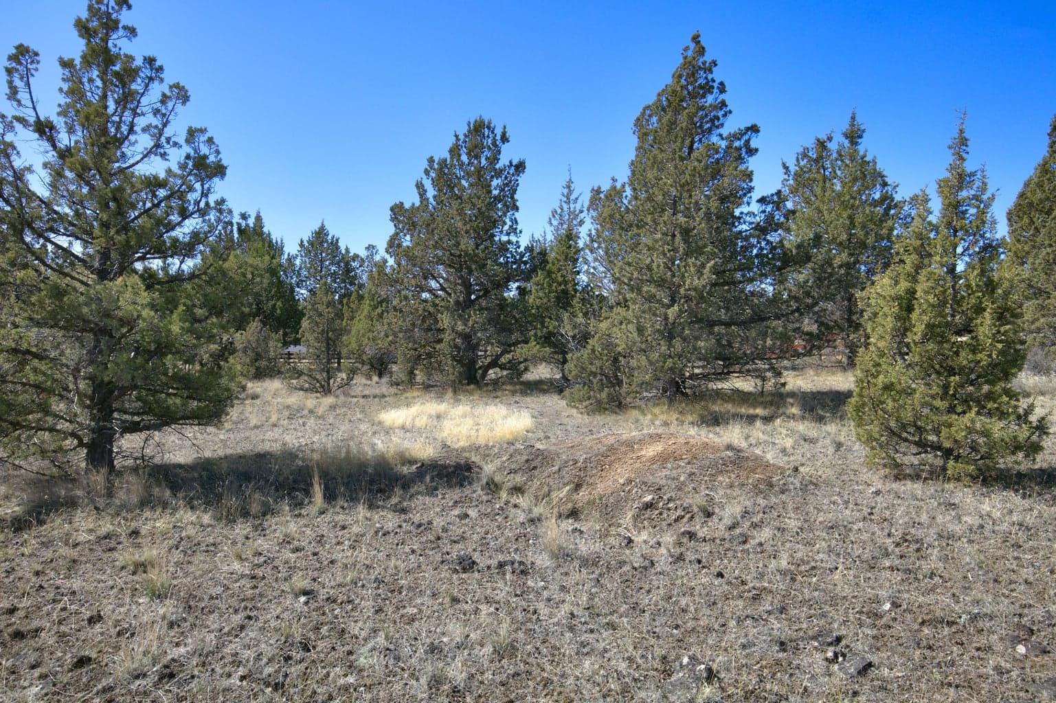Photo of 1534 SE Texas Circle 21 of 25