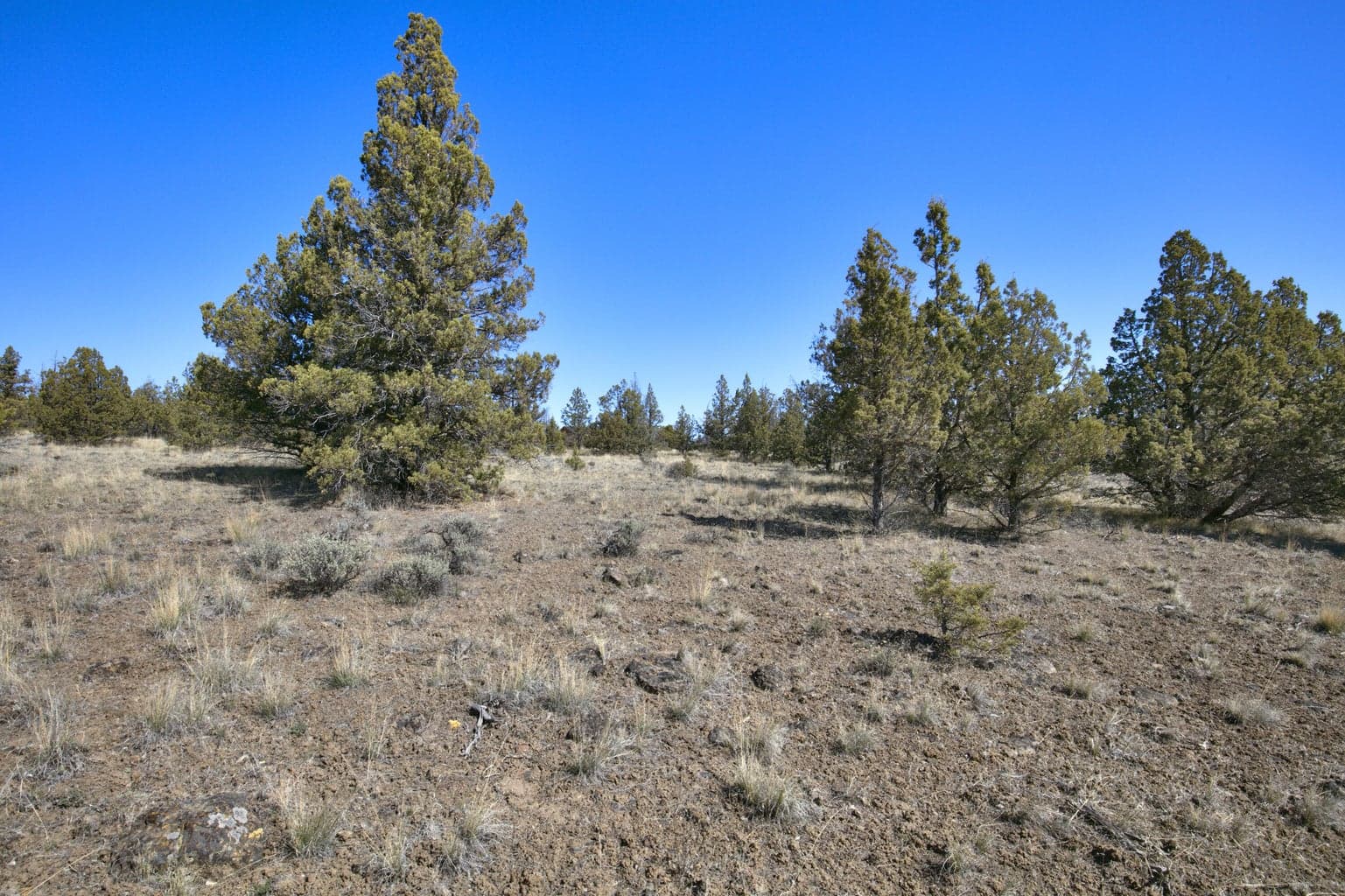 Photo of 1534 SE Texas Circle 22 of 25
