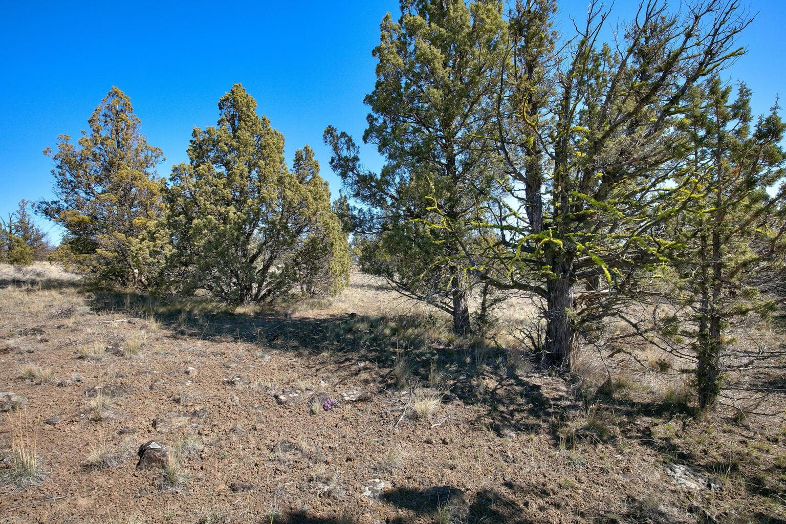 Photo of 1534 SE Texas Circle 23 of 25
