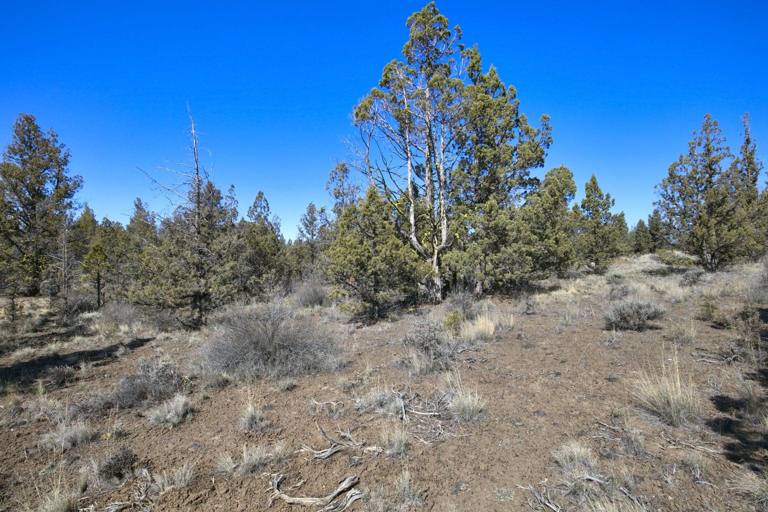 Photo of 1534 SE Texas Circle 24 of 25