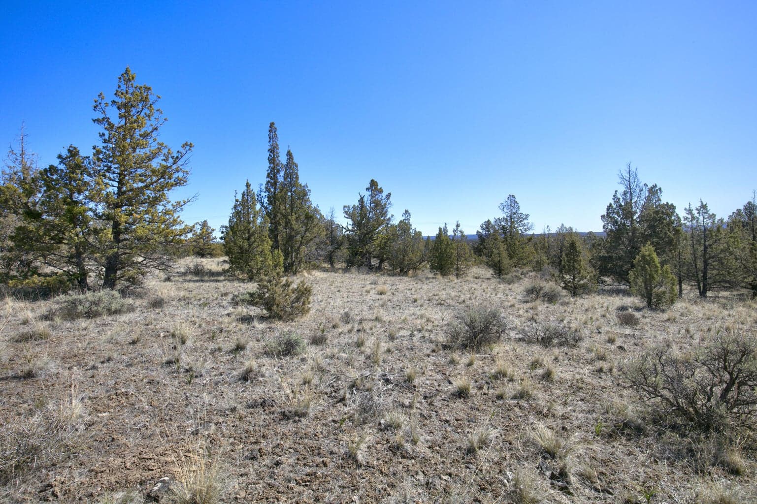 Photo of 1534 SE Texas Circle 25 of 25