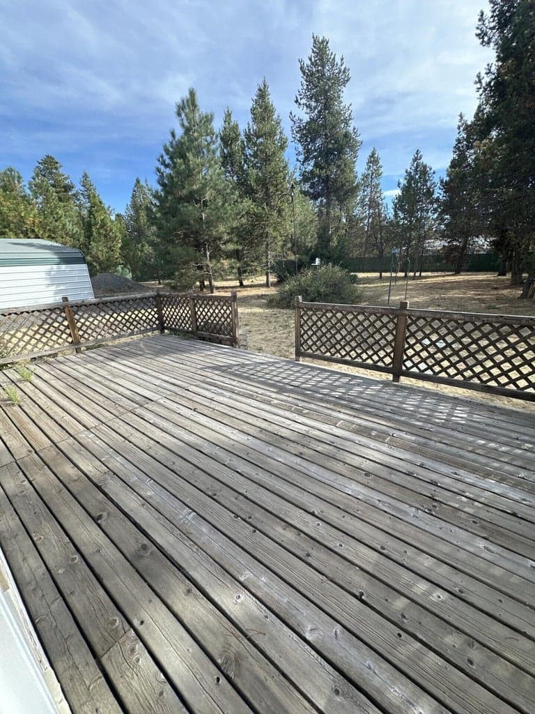 Back Deck